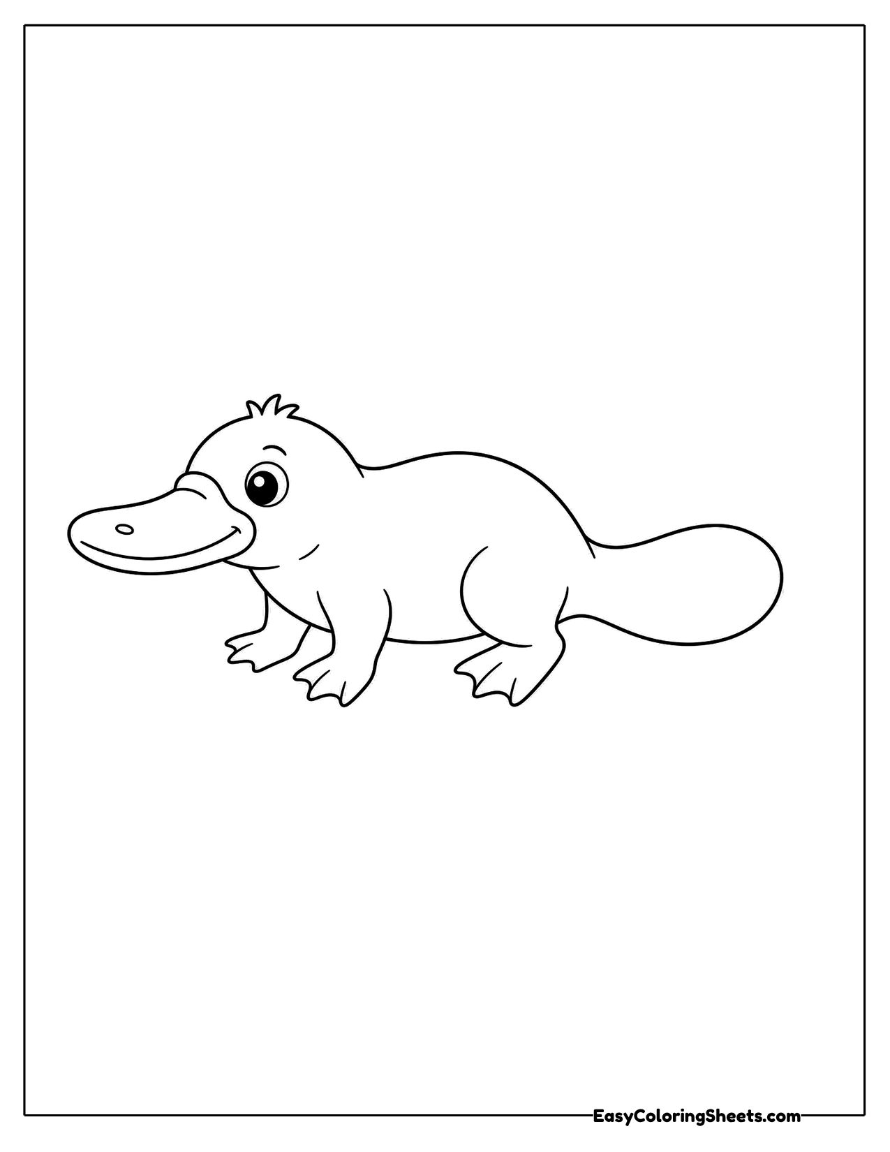 Cute platypus walking sideways