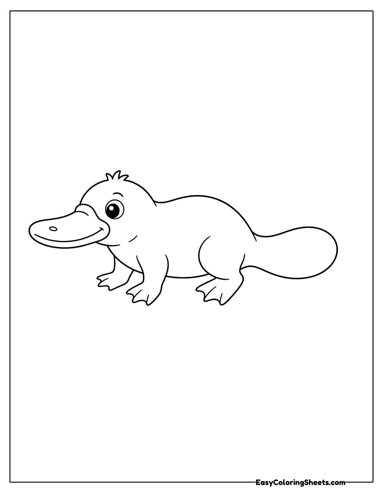 Cute platypus walking sideways