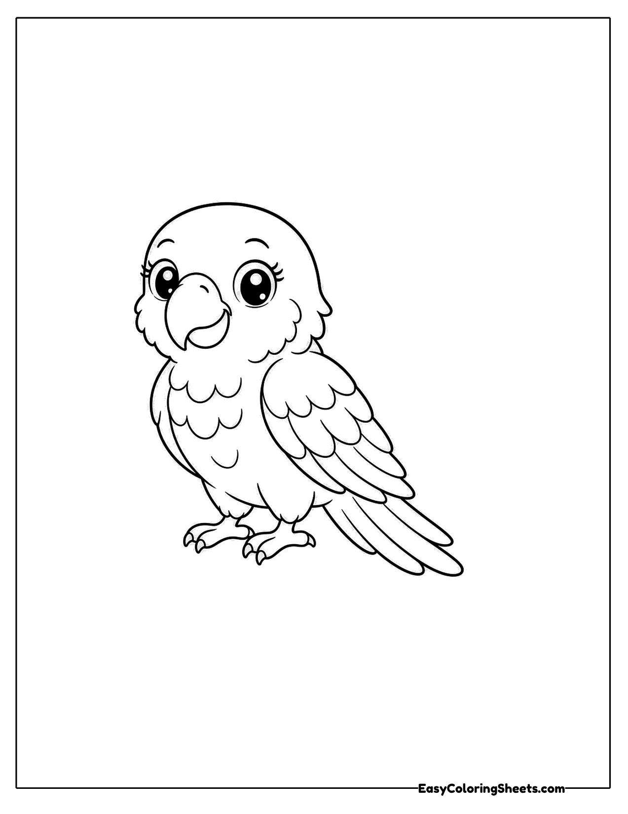 Calm parrot standing with folded wings