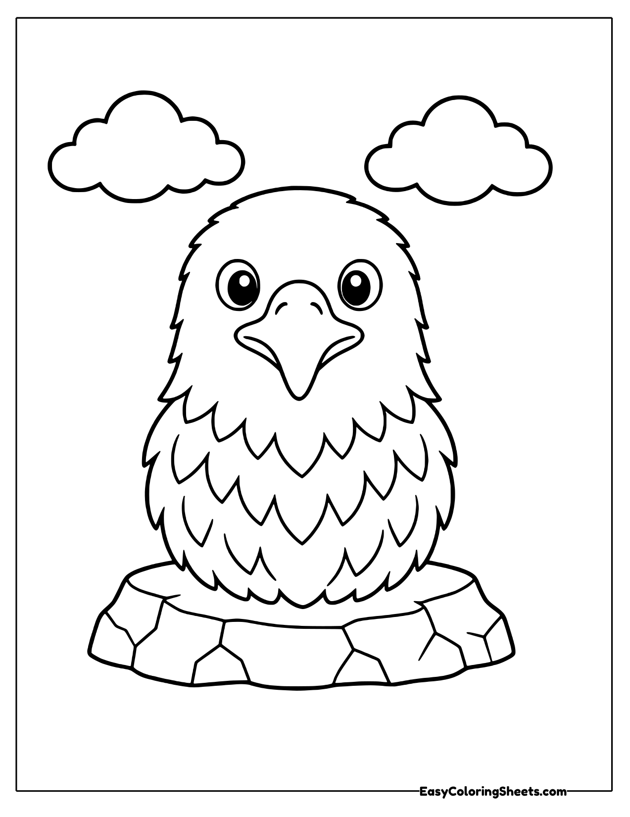 Bald eagle head and chest on a rock