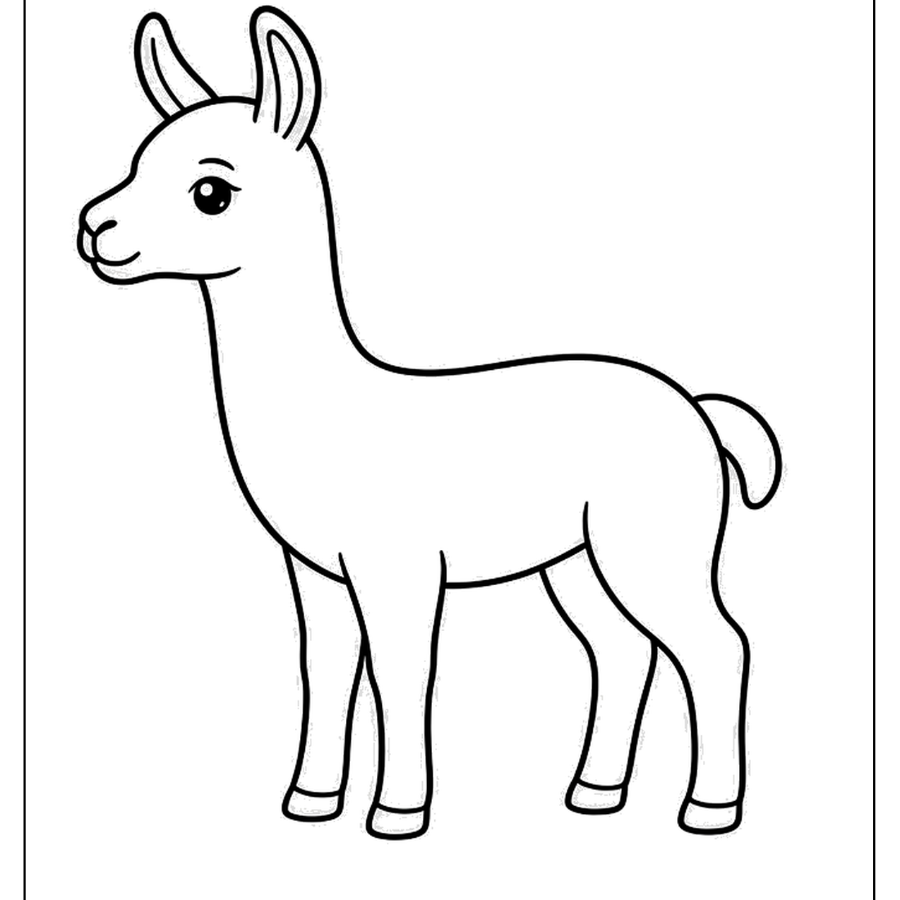 Young llama standing with tall pointed ears