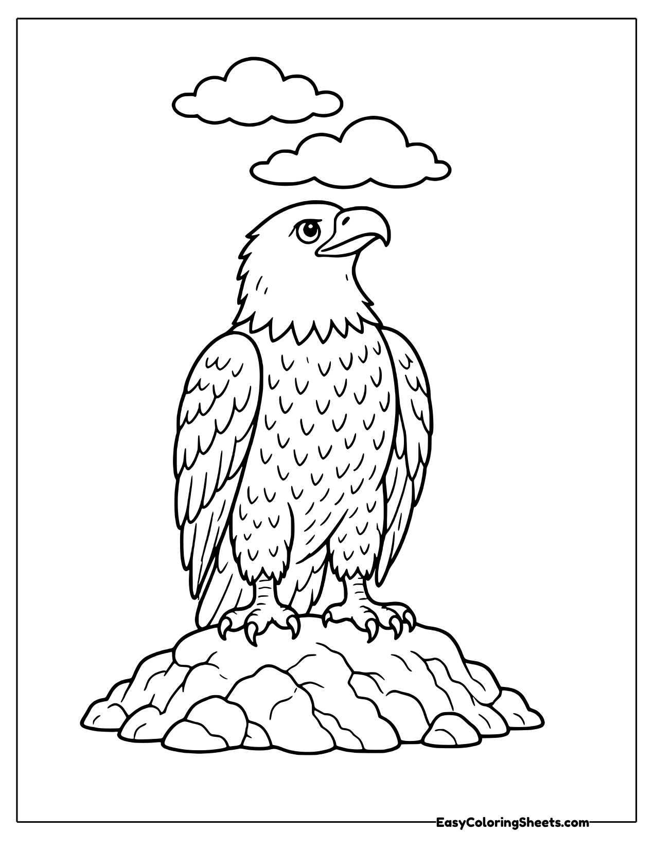 Bald eagle looking up from a rock