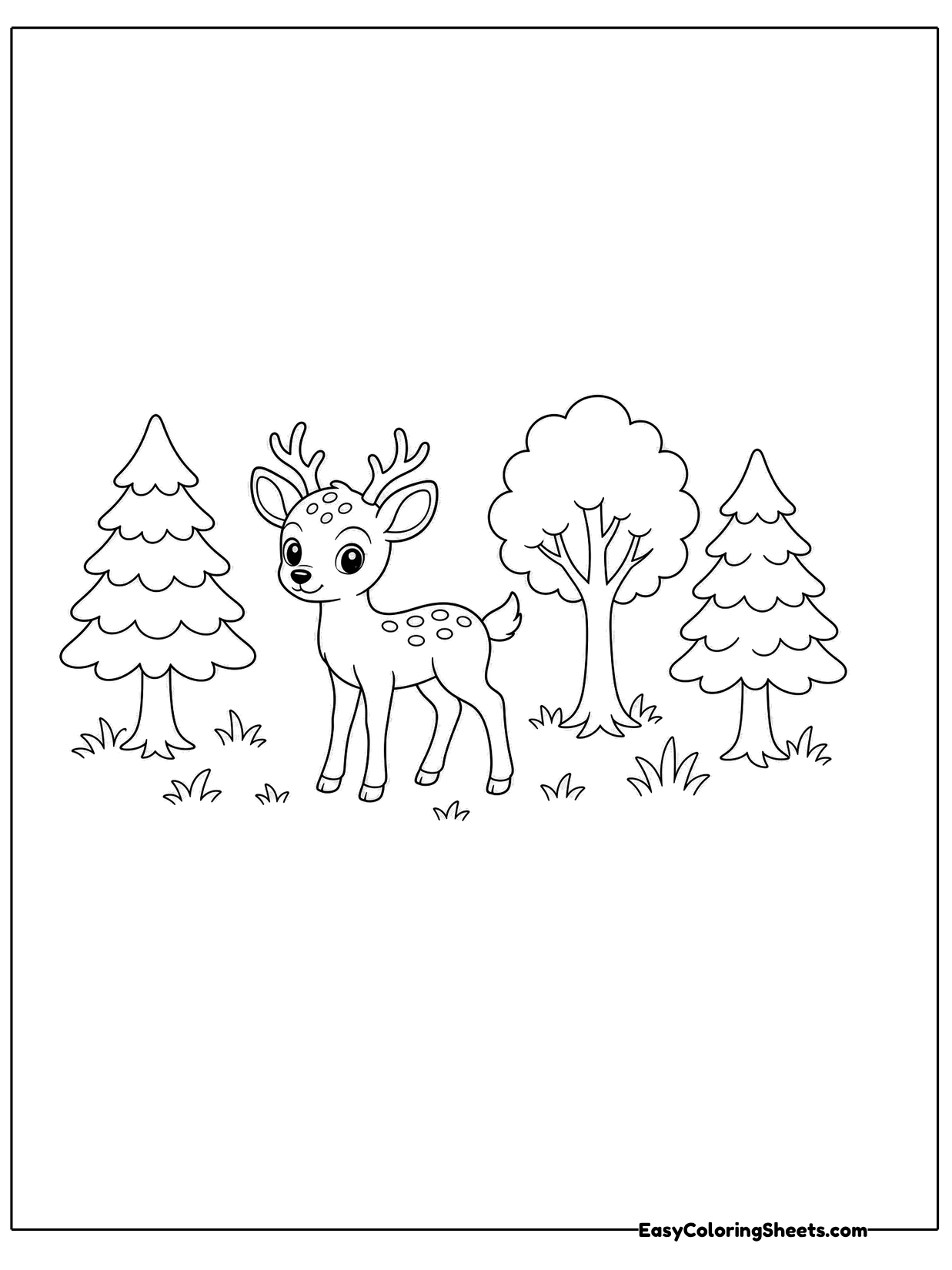 A young deer stands in a forest clearing surrounded by pine trees and round leafy trees.