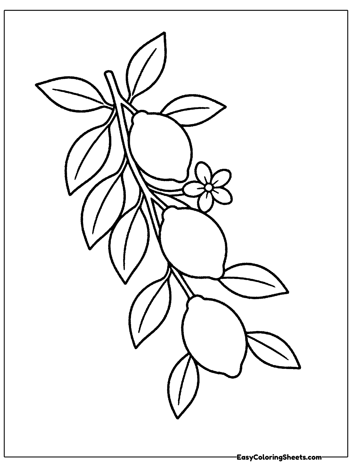 A slender branch curves up the page with pointed leaves and a cluster of little lemons hanging along it.