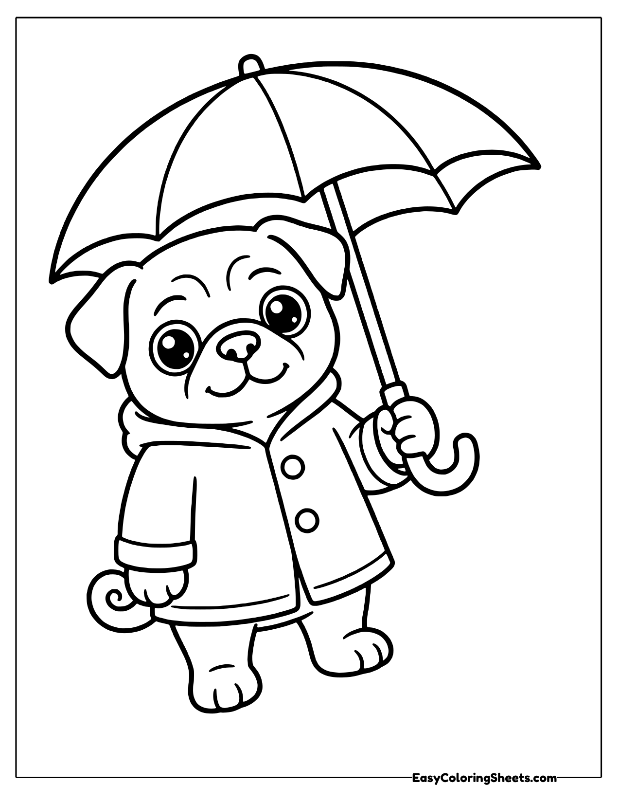 Pug in a buttoned raincoat holding an umbrella overhead
