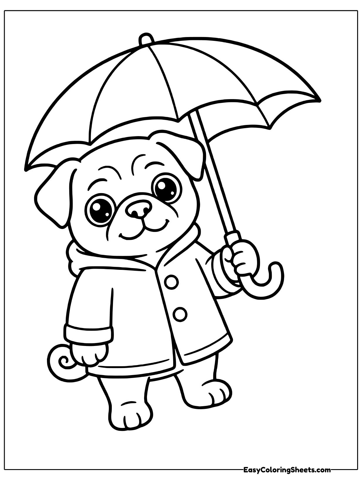 A cozy pug wears a buttoned raincoat and holds a small umbrella high over its head to stay dry on a rainy day.