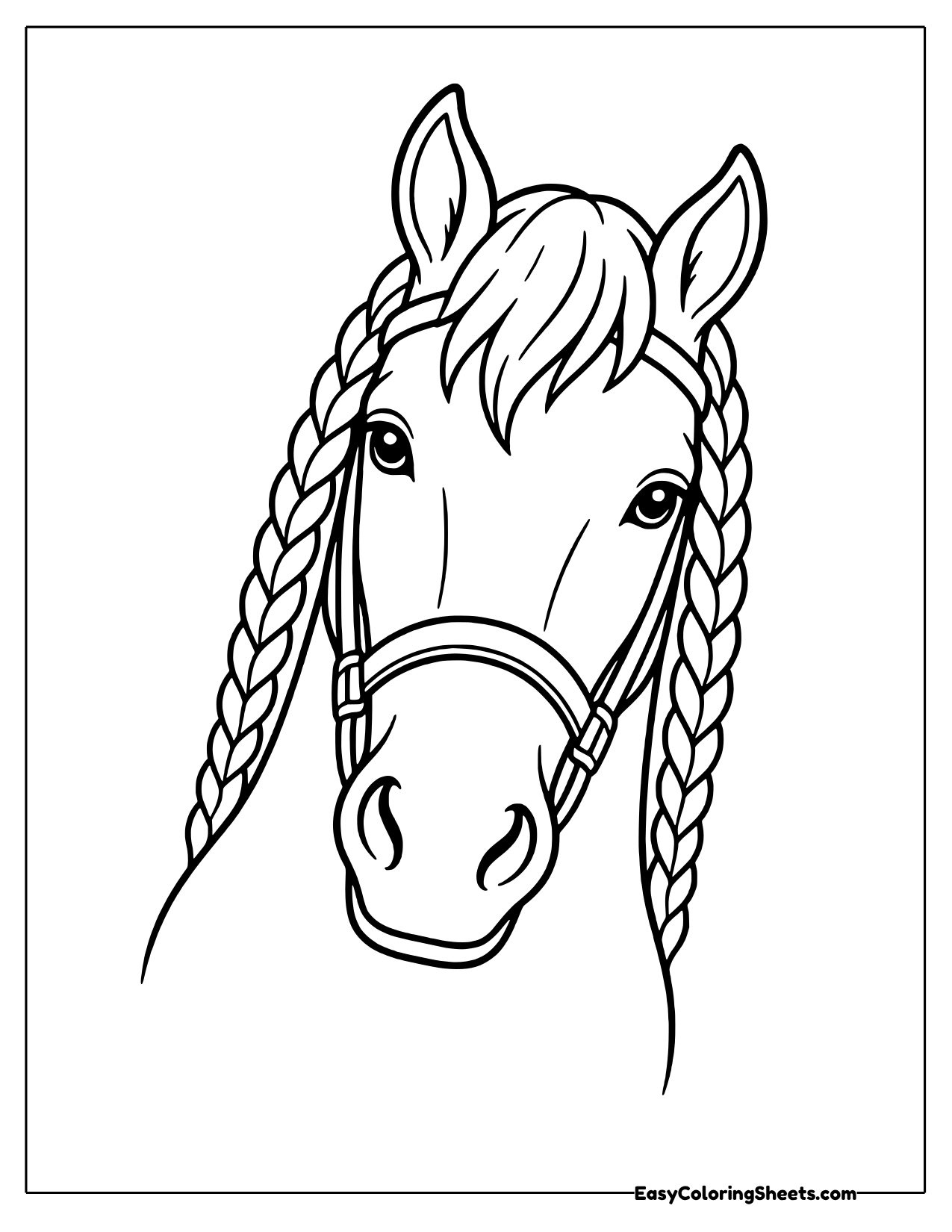 Close up portrait of a horse head with a bridle and braided mane