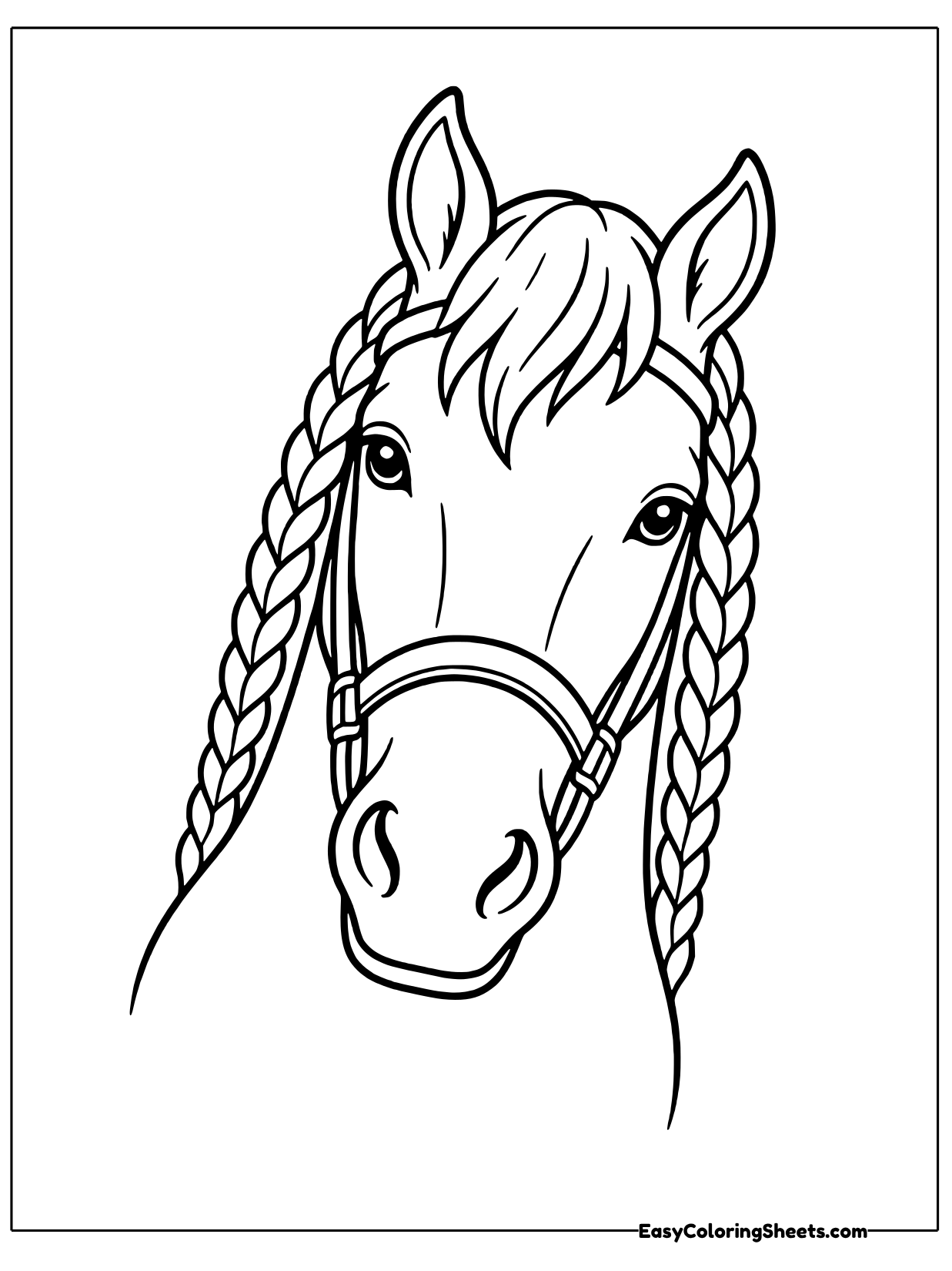 This close up portrait shows a gentle horse face with a neat bridle and long braided mane hanging down on both sides of its.