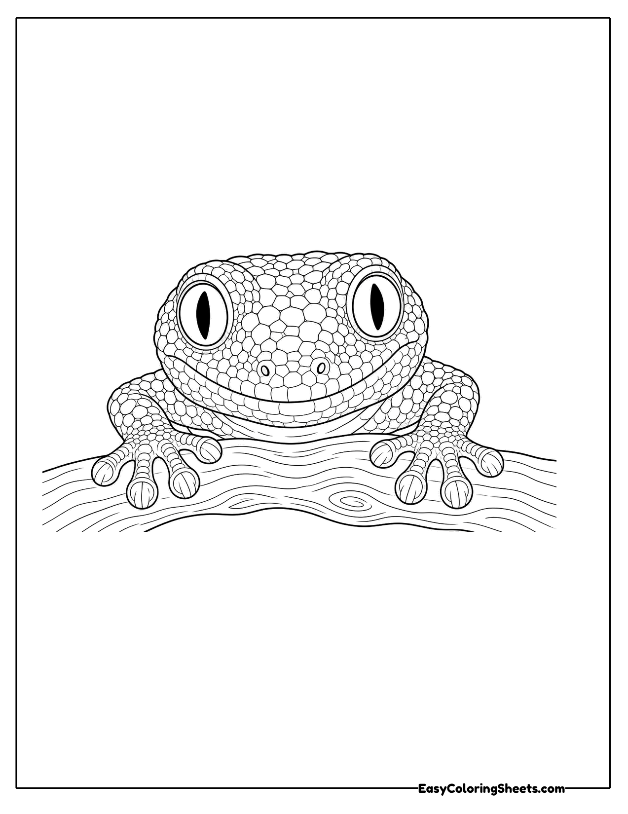 Close up of a gecko face resting on a branch