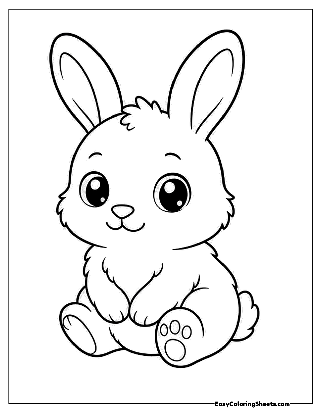 Baby bunny with big shiny eyes sitting with one foot forward showing its paw pad
