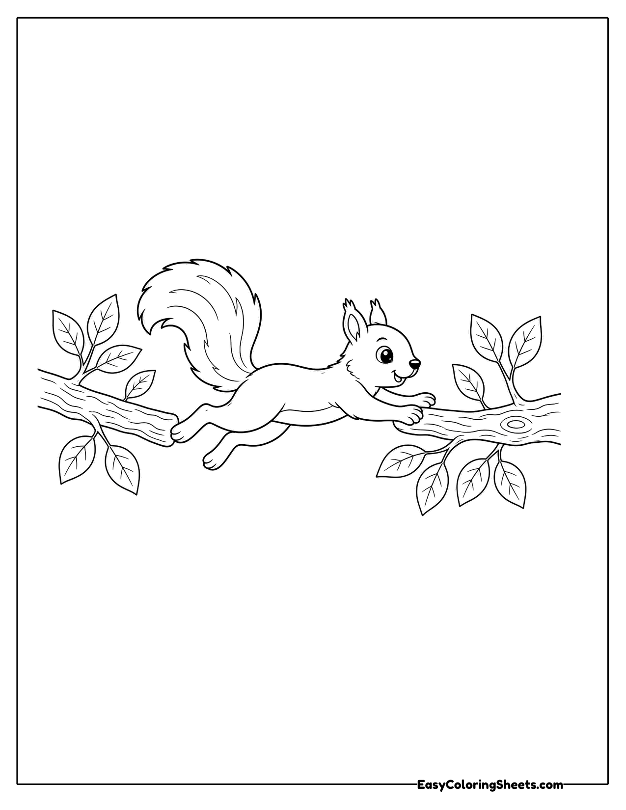Squirrel leaping between two branches