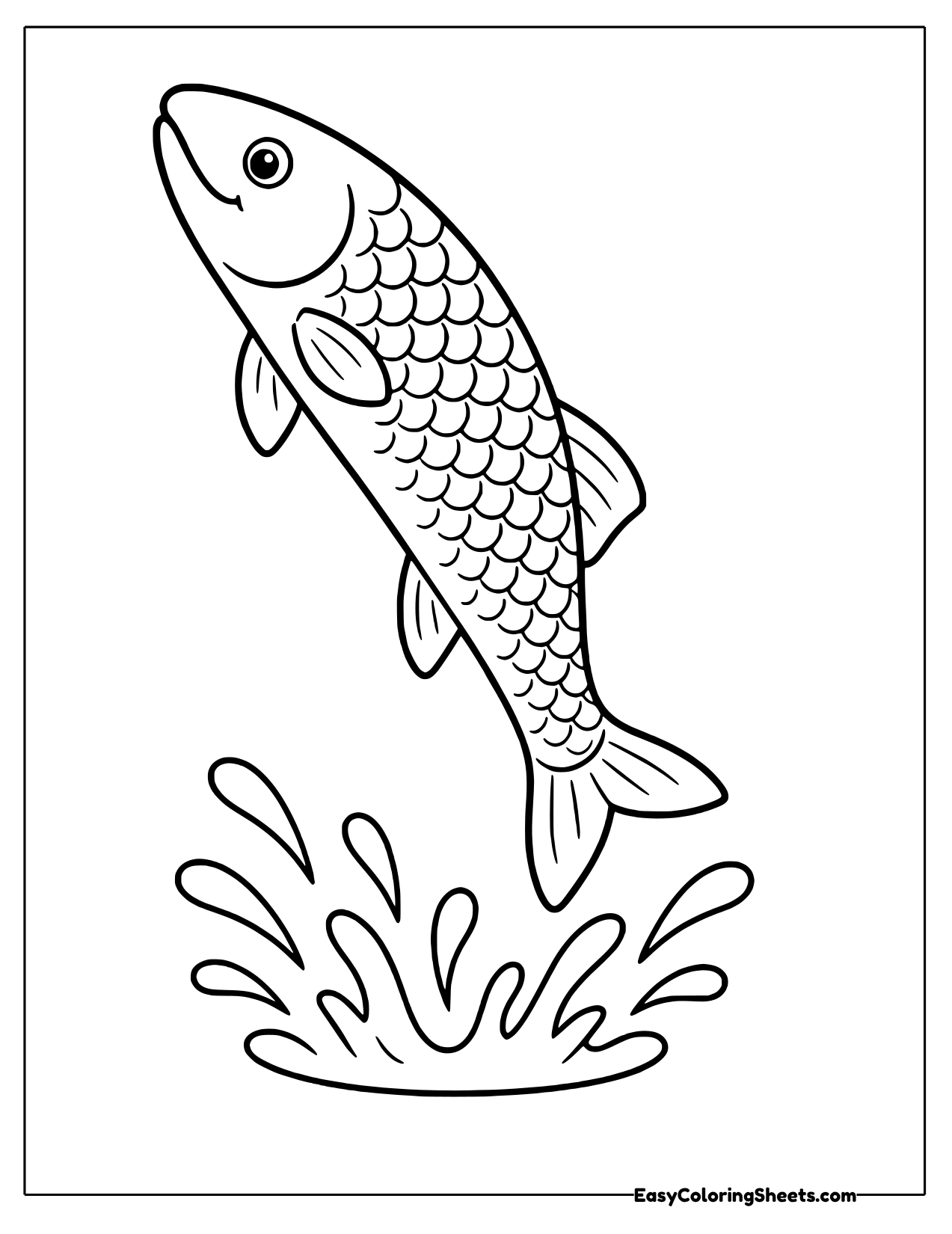Salmon leaping above a splash of water