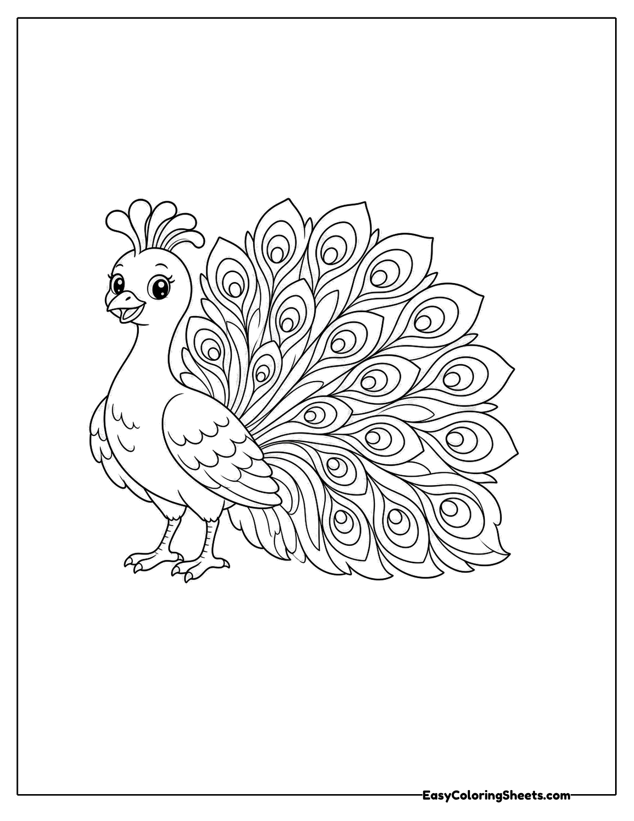 Tall proud peacock with fan tail