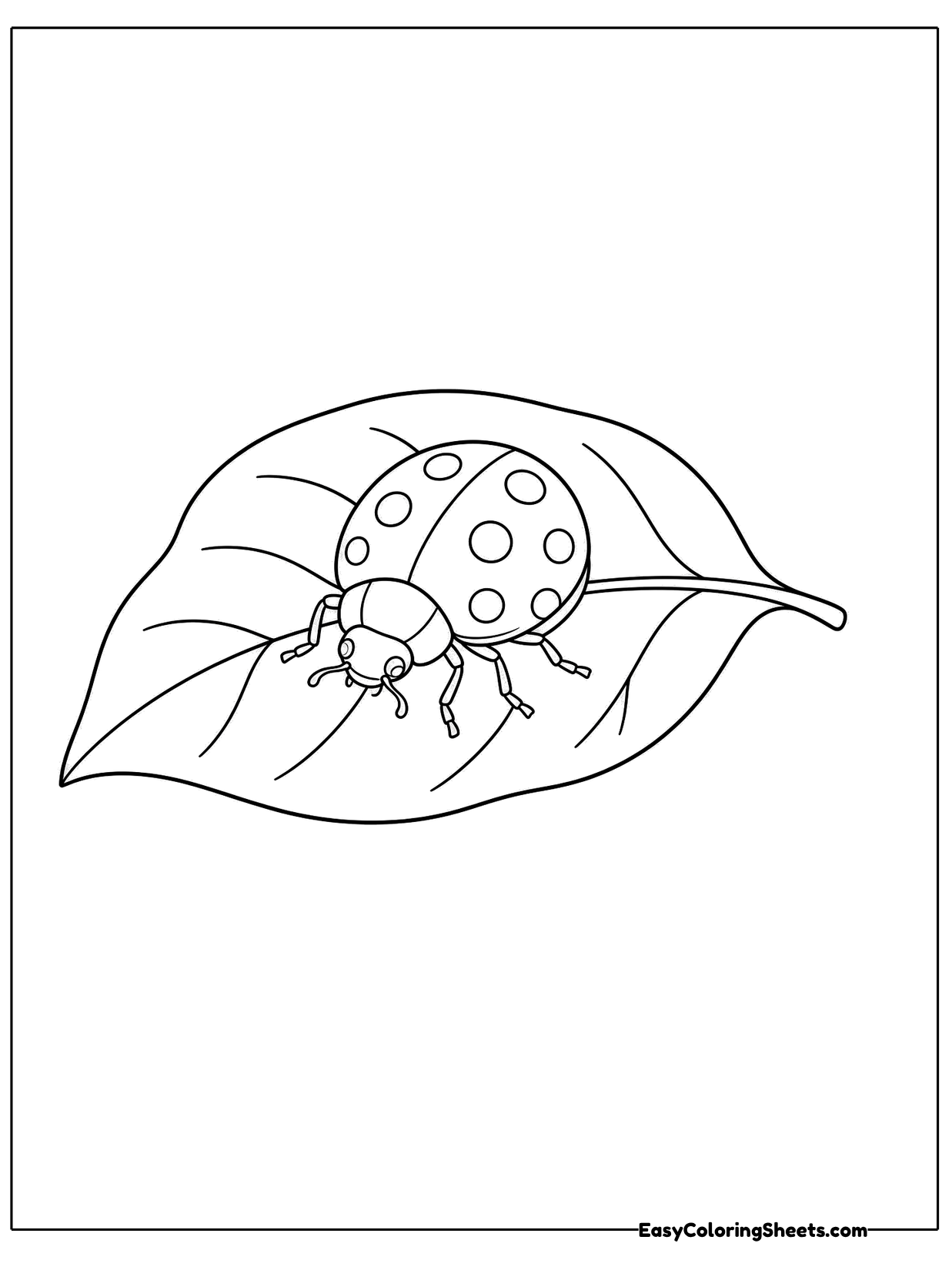A small ladybug crawls along a big leaf with clear veins running out from the center stem.