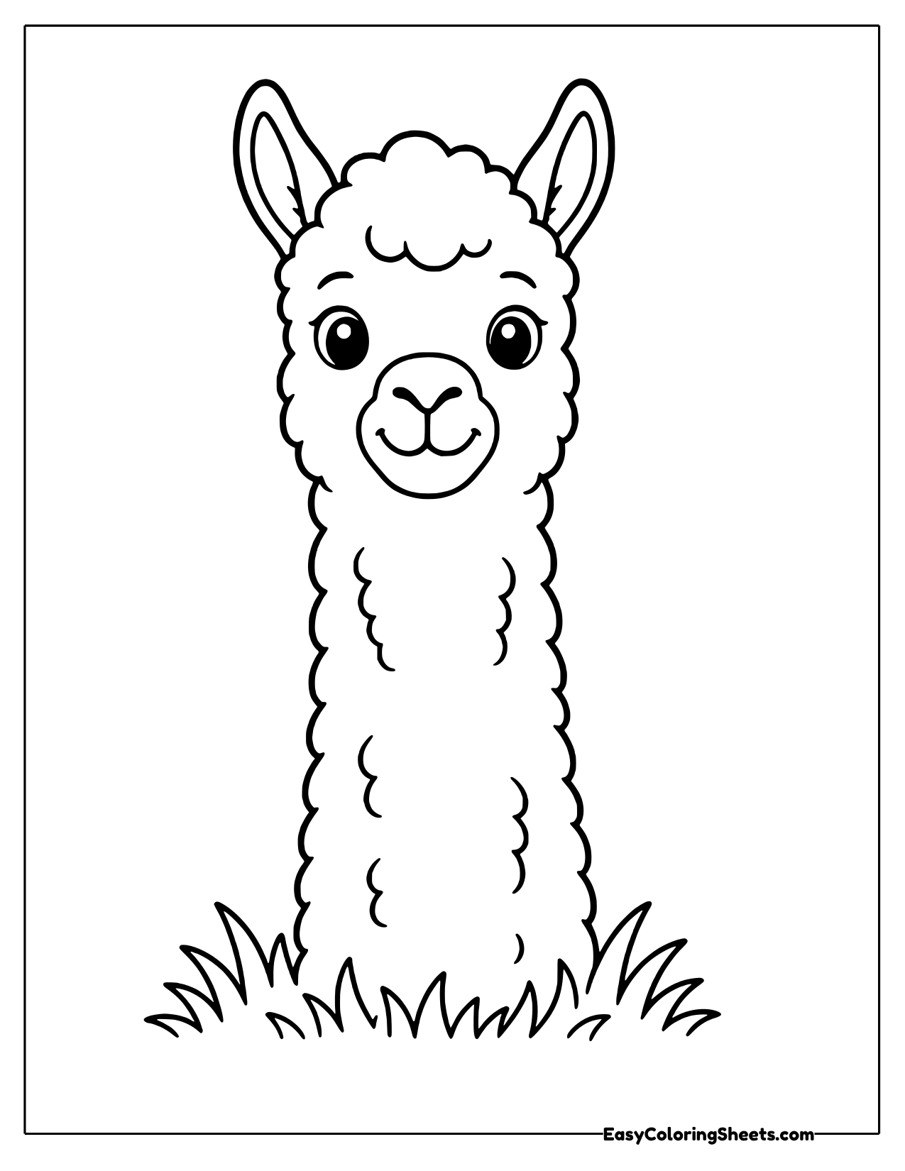 Close-up llama with a long woolly neck