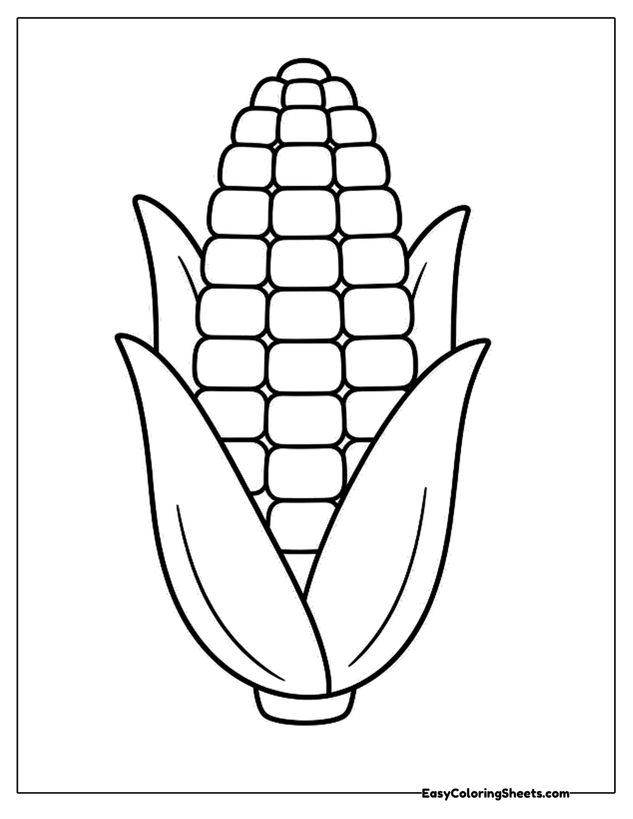 Single ear of corn with rows of kernels and husk leaves