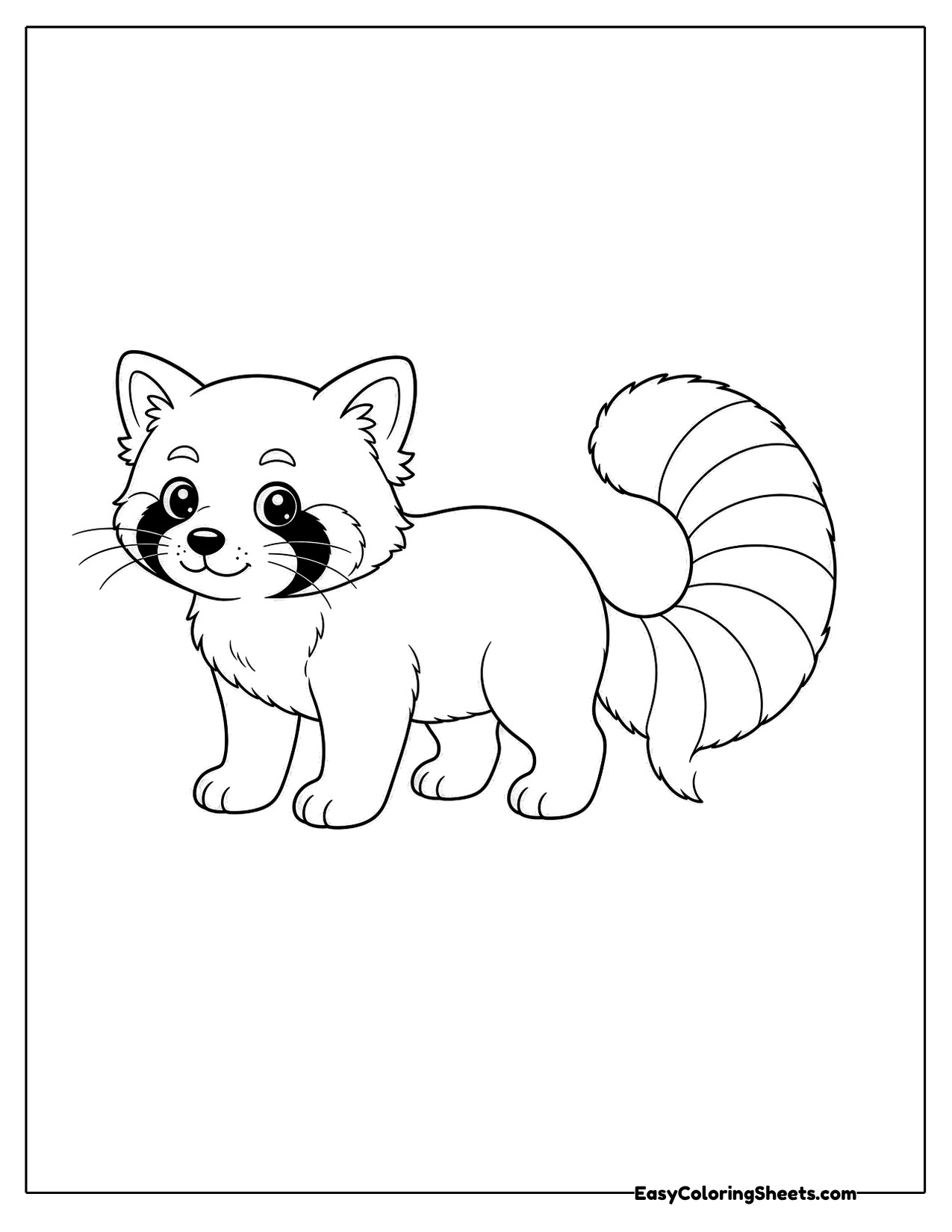 Red panda walking with a striped tail