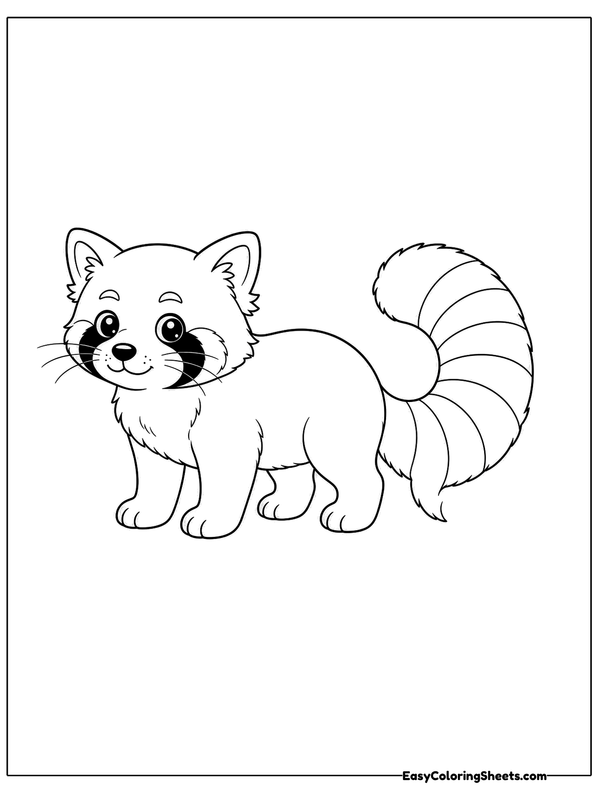 A red panda walks on all fours with its masked face looking forward and its long ringed tail stretched behind.