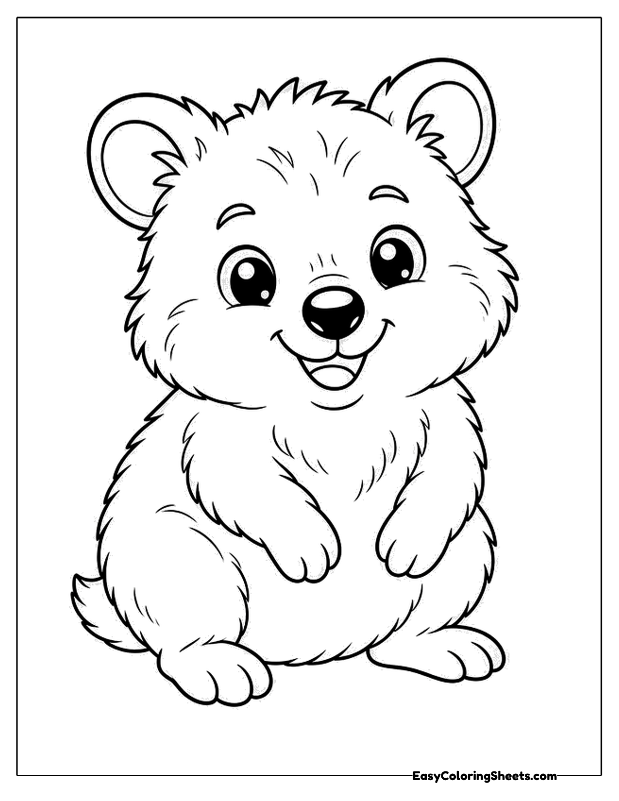 Baby quokka sitting with a big smile