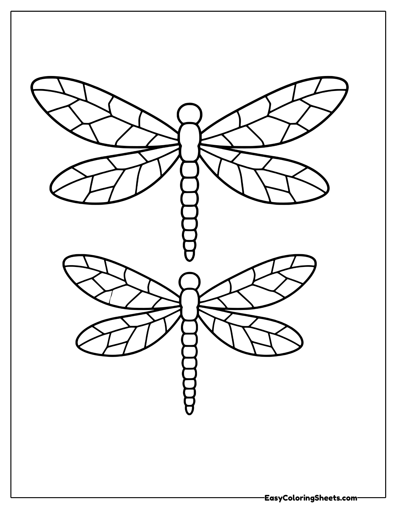 Two dragonflies with stained glass wings