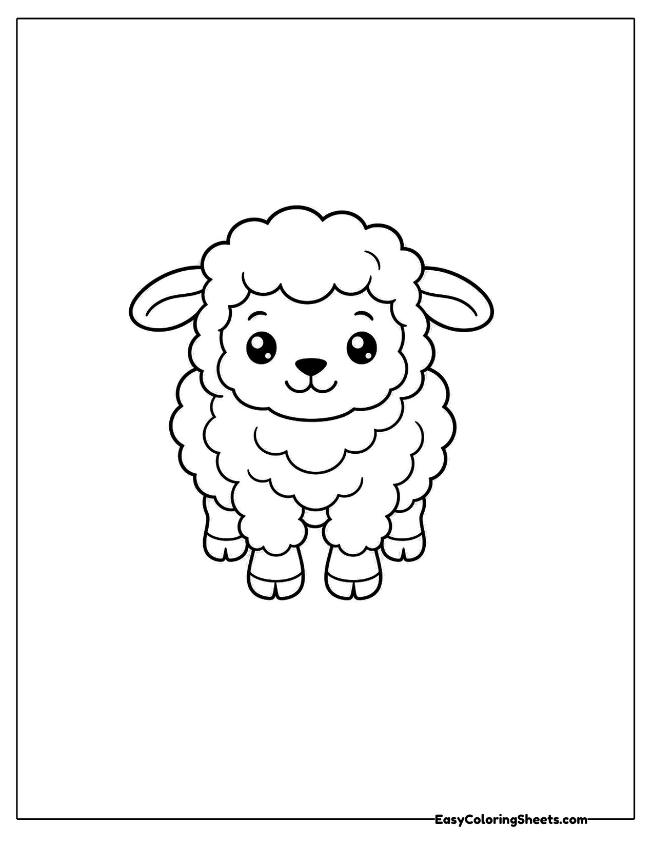 Sheep walking straight toward the viewer