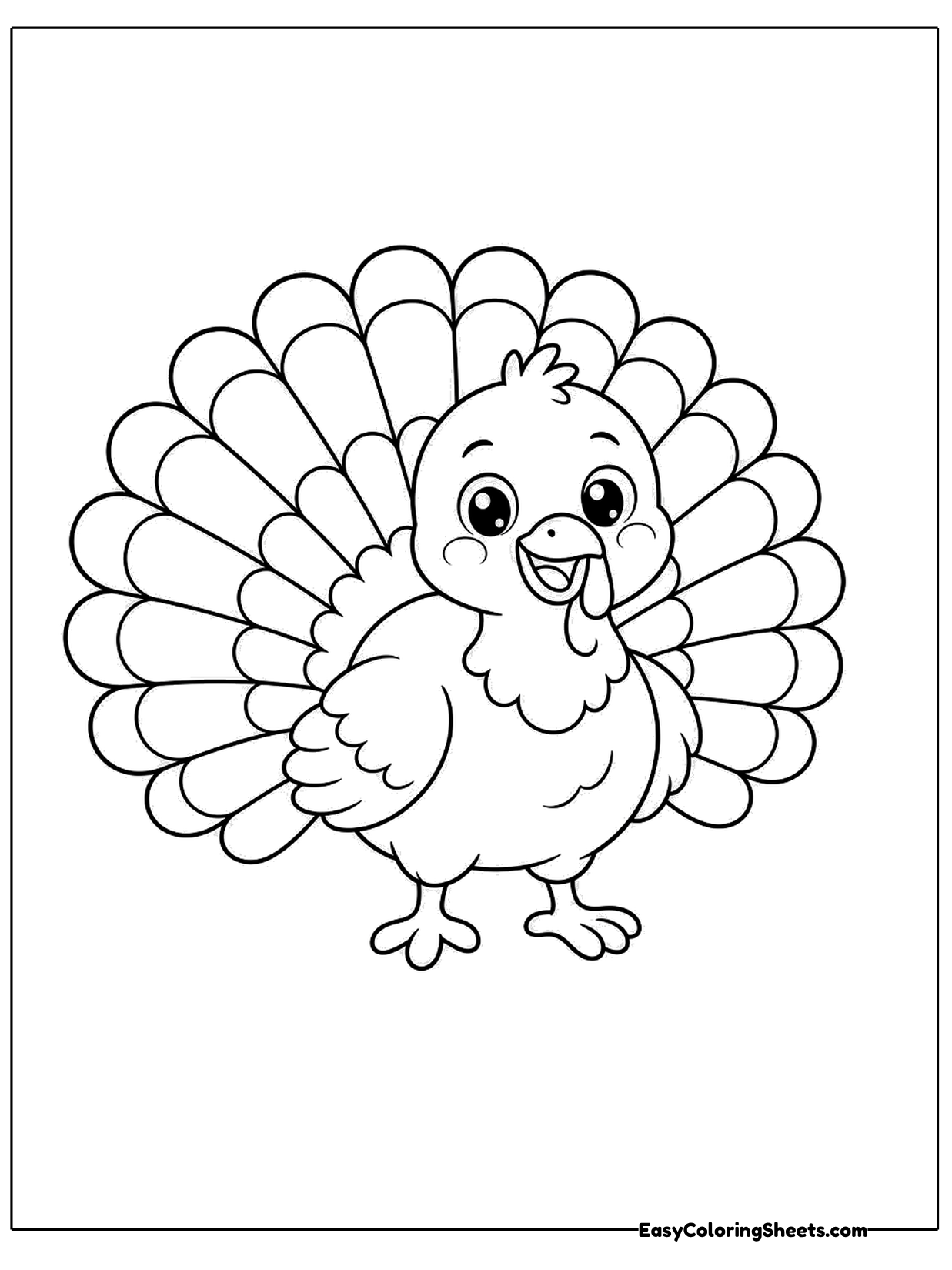 A round little turkey shows off a fan of tail feathers behind its body.