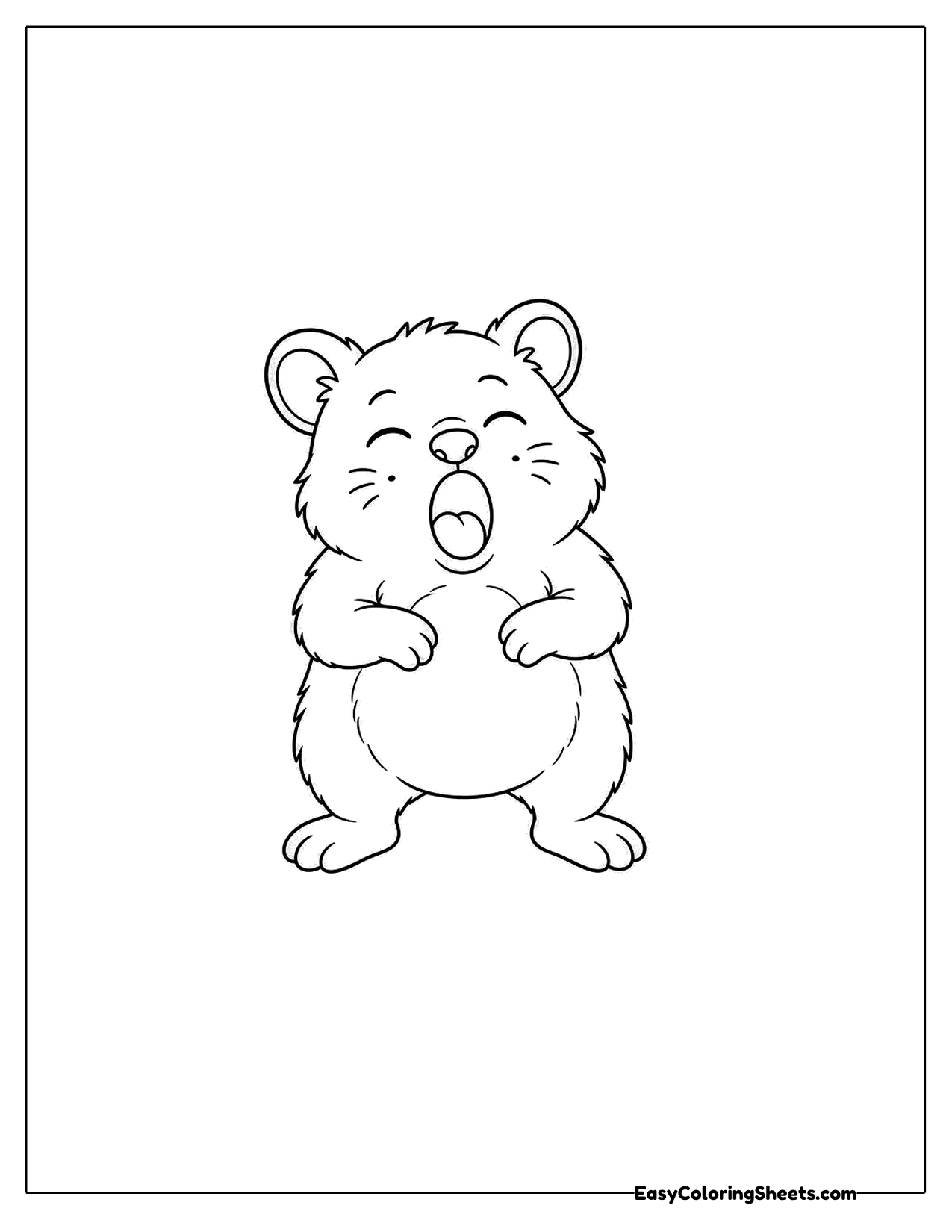 Yawning quokka