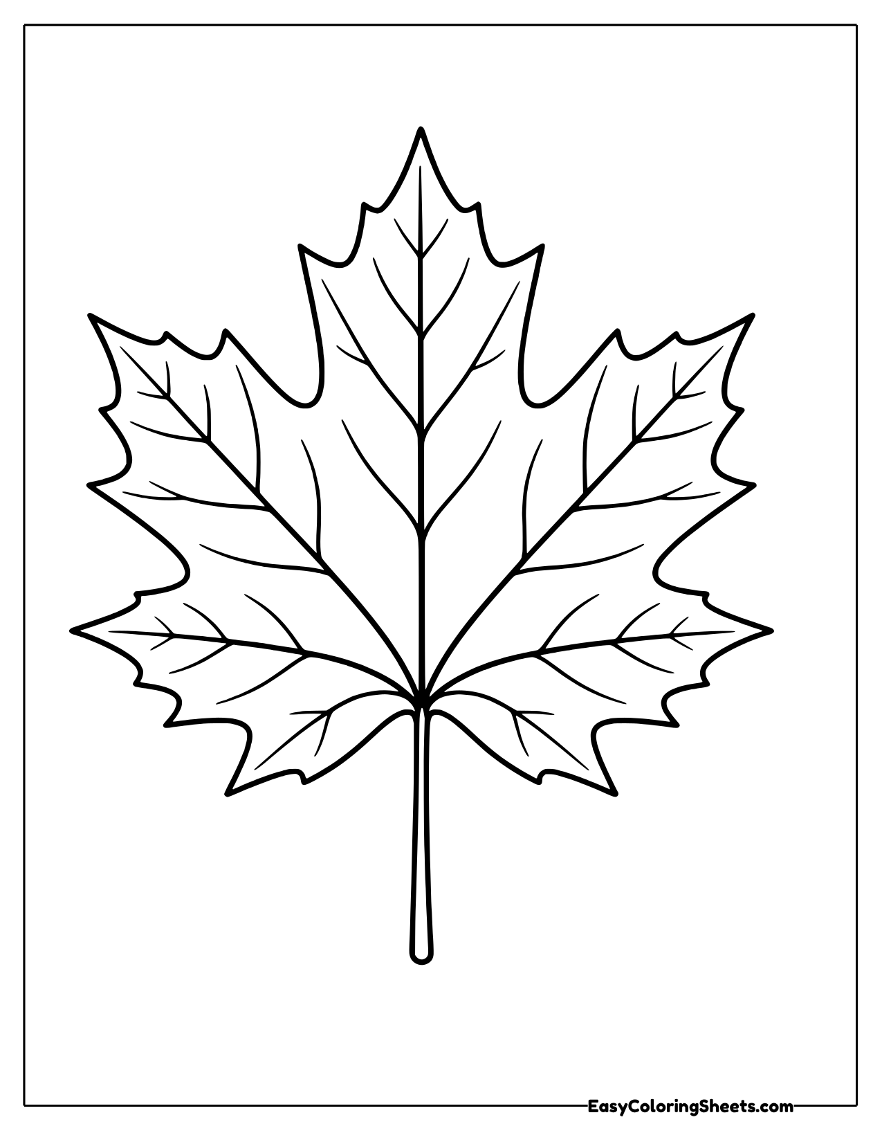 Single maple leaf with long stem