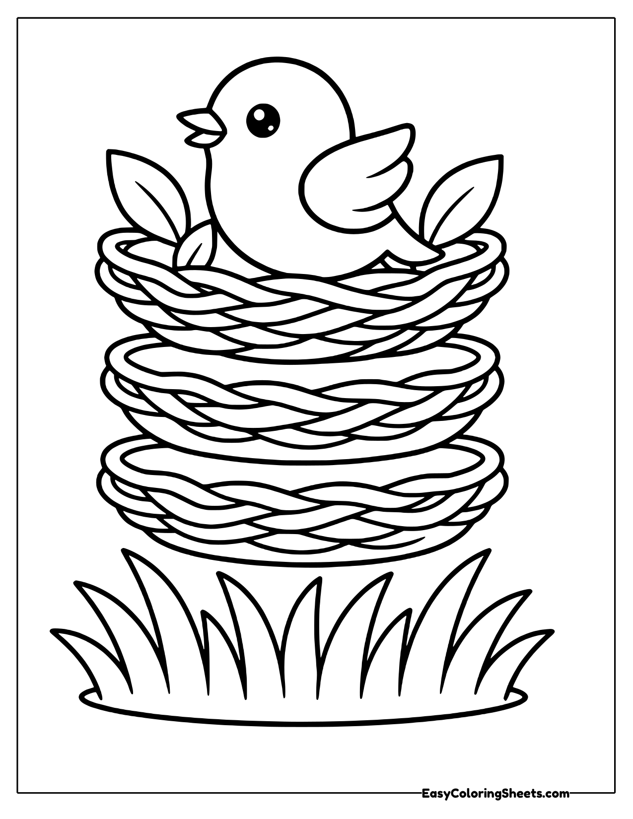 Bird sitting in a large woven nest