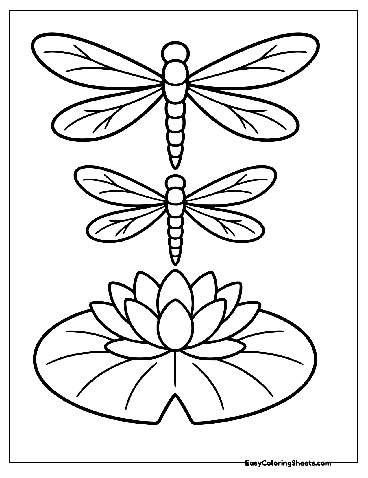 Two dragonflies above a water lily