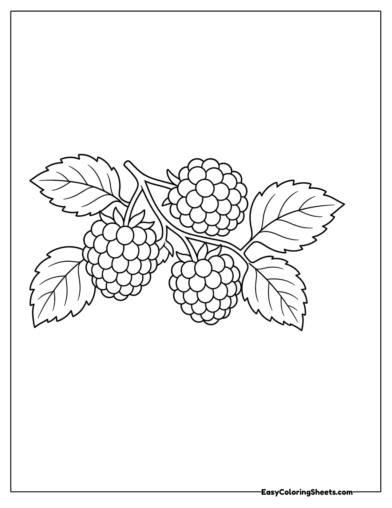Raspberry cluster on a leafy stem