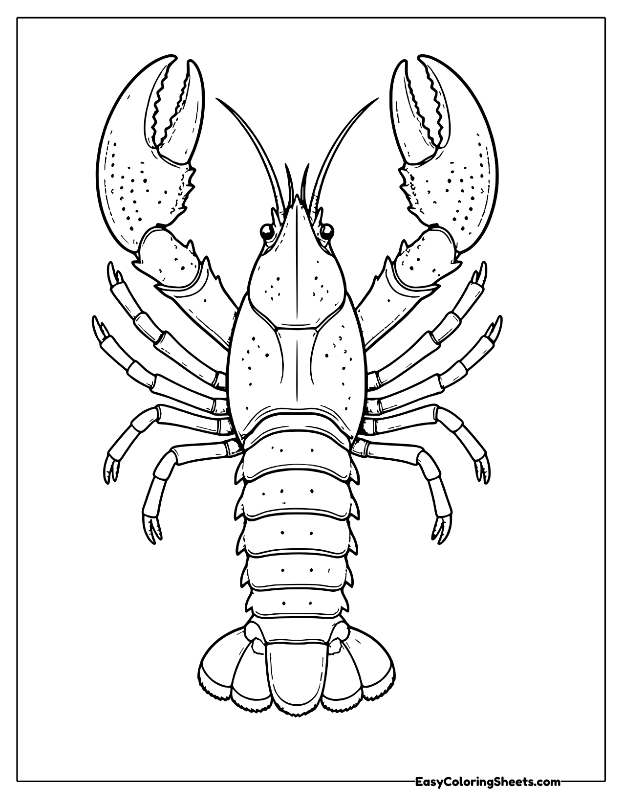 Realistic lobster seen from above with claws raised