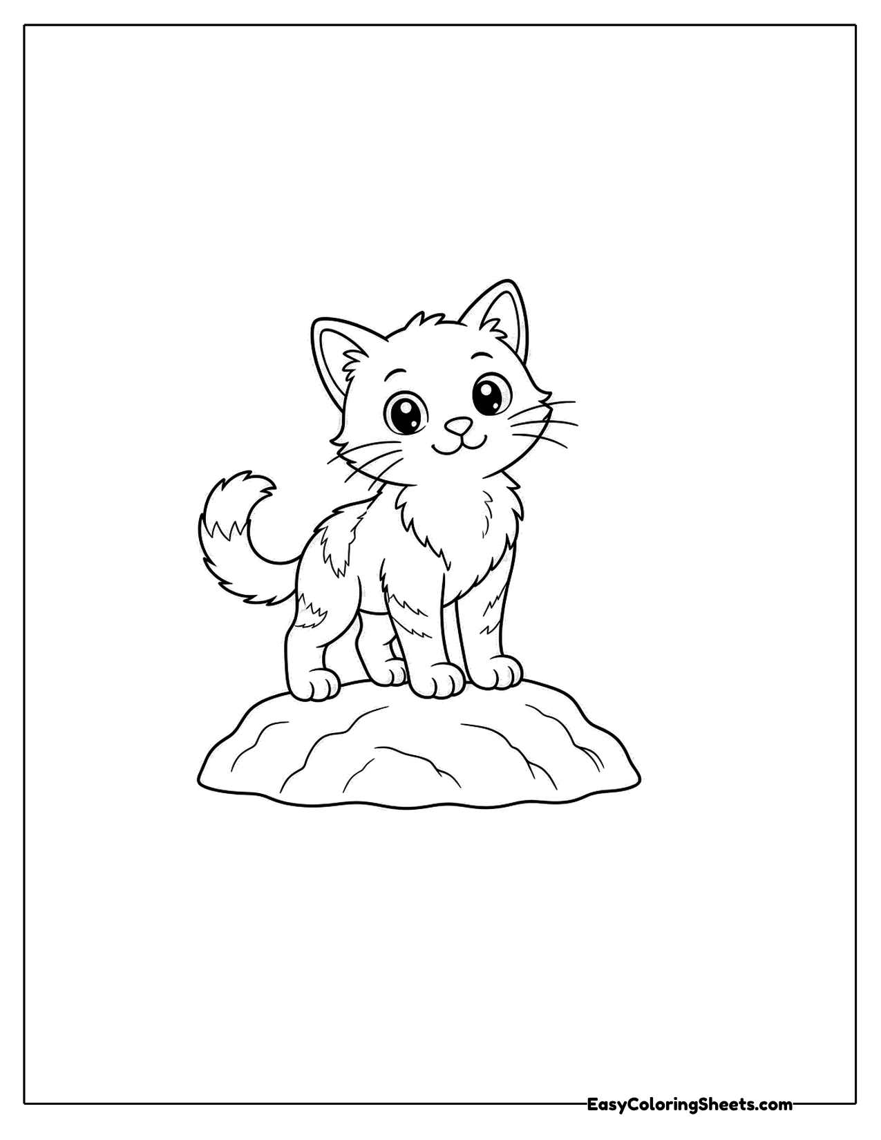 Kitten standing on top of a small rock