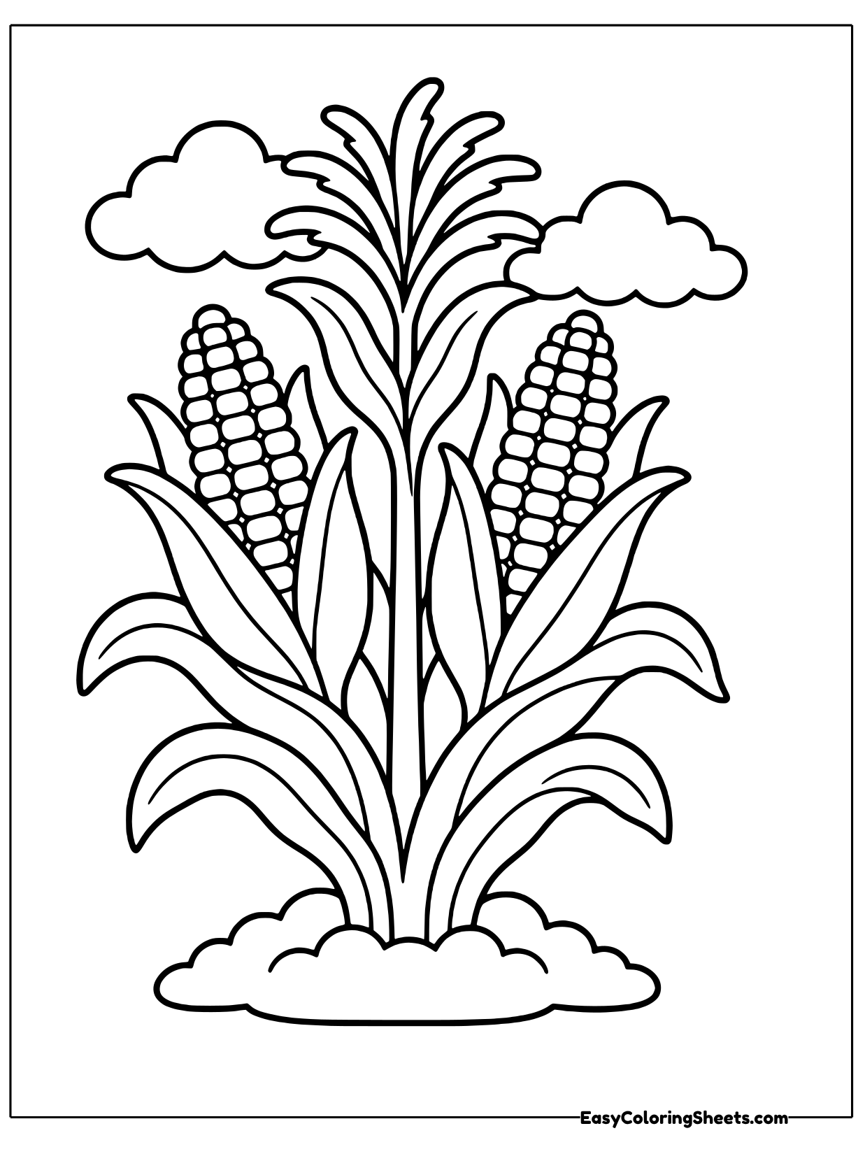 A wide corn plant spreads its long leaves out on both sides, with ears of corn tucked between them.