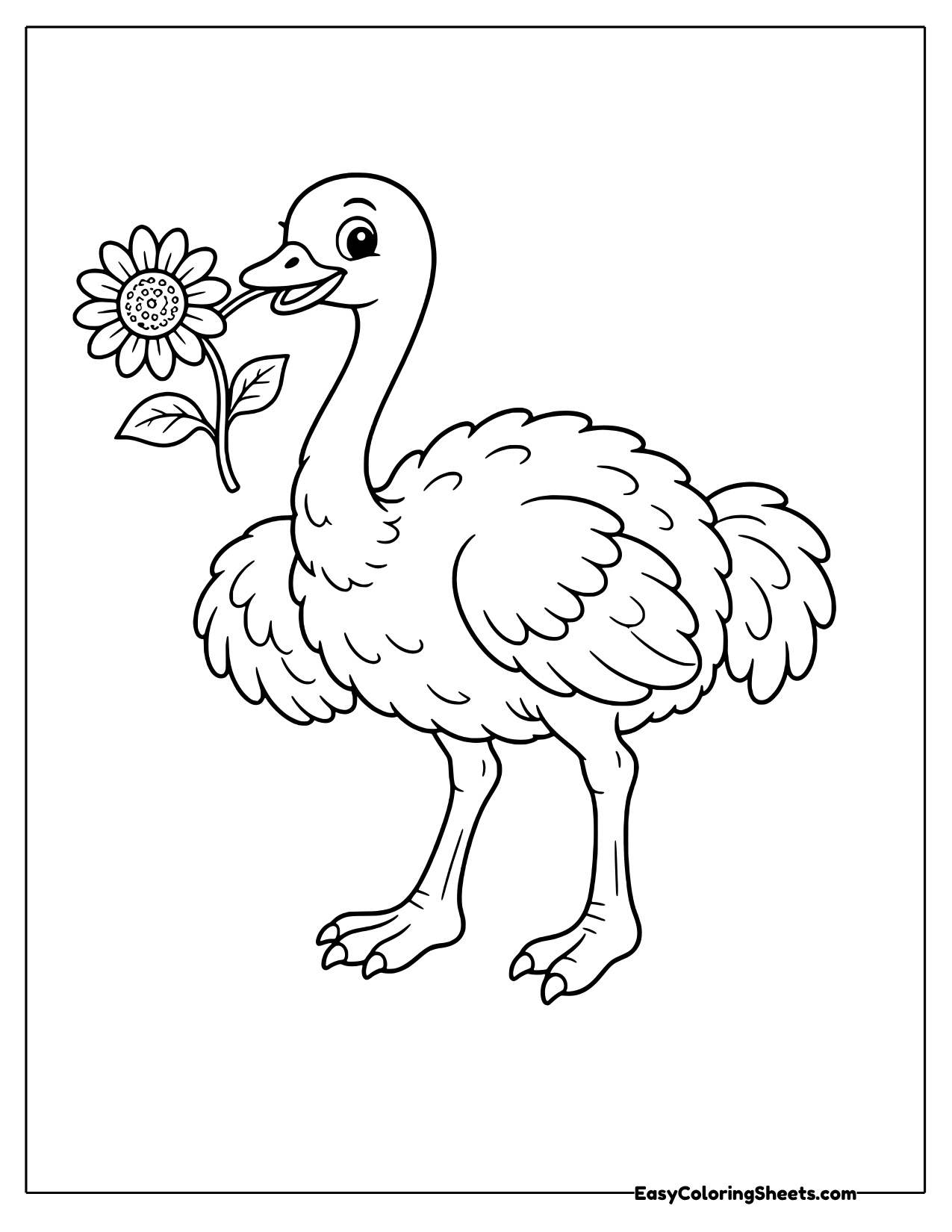 Ostrich holding a sunflower in its beak