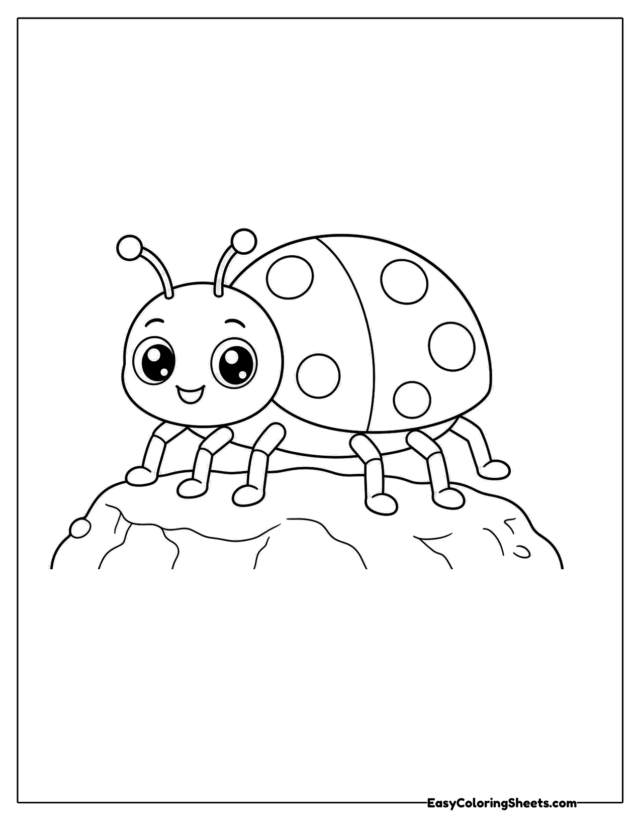 Ladybug resting on top of a rock