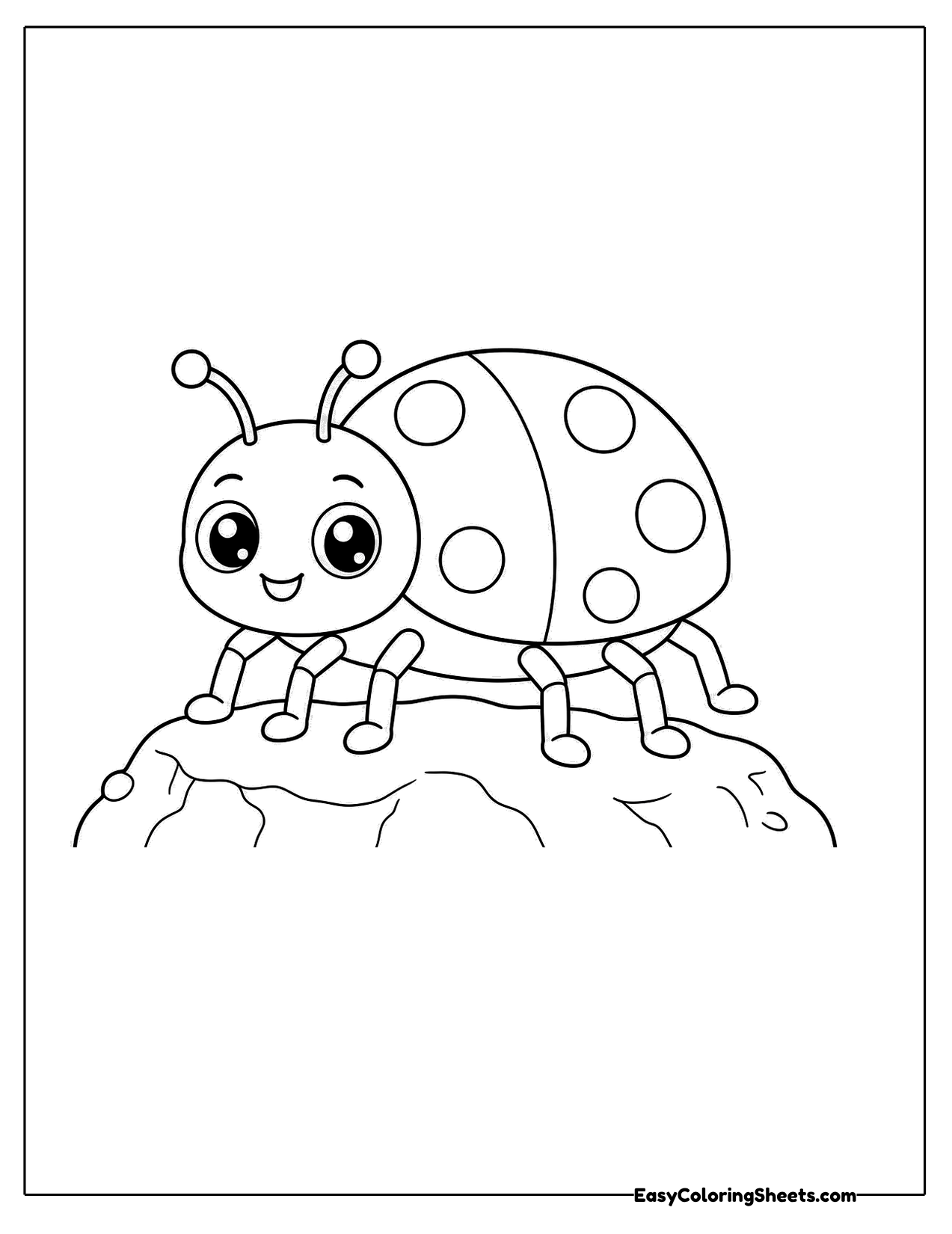Ladybug resting on top of a rock