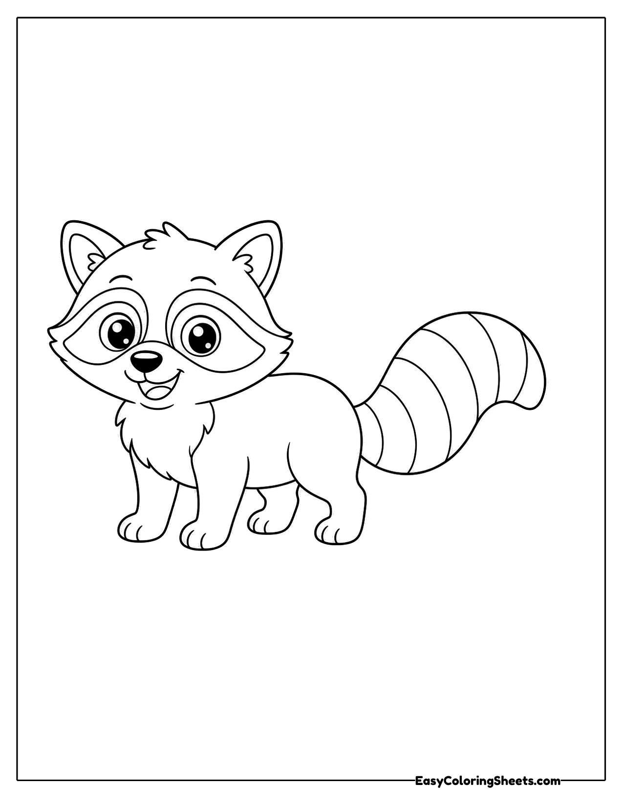 Cute raccoon walking with a fluffy tail