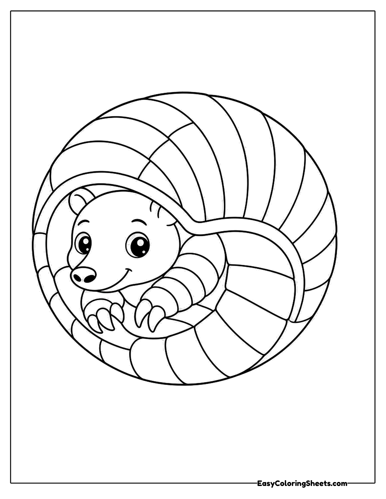 Armadillo curled up inside its round shell