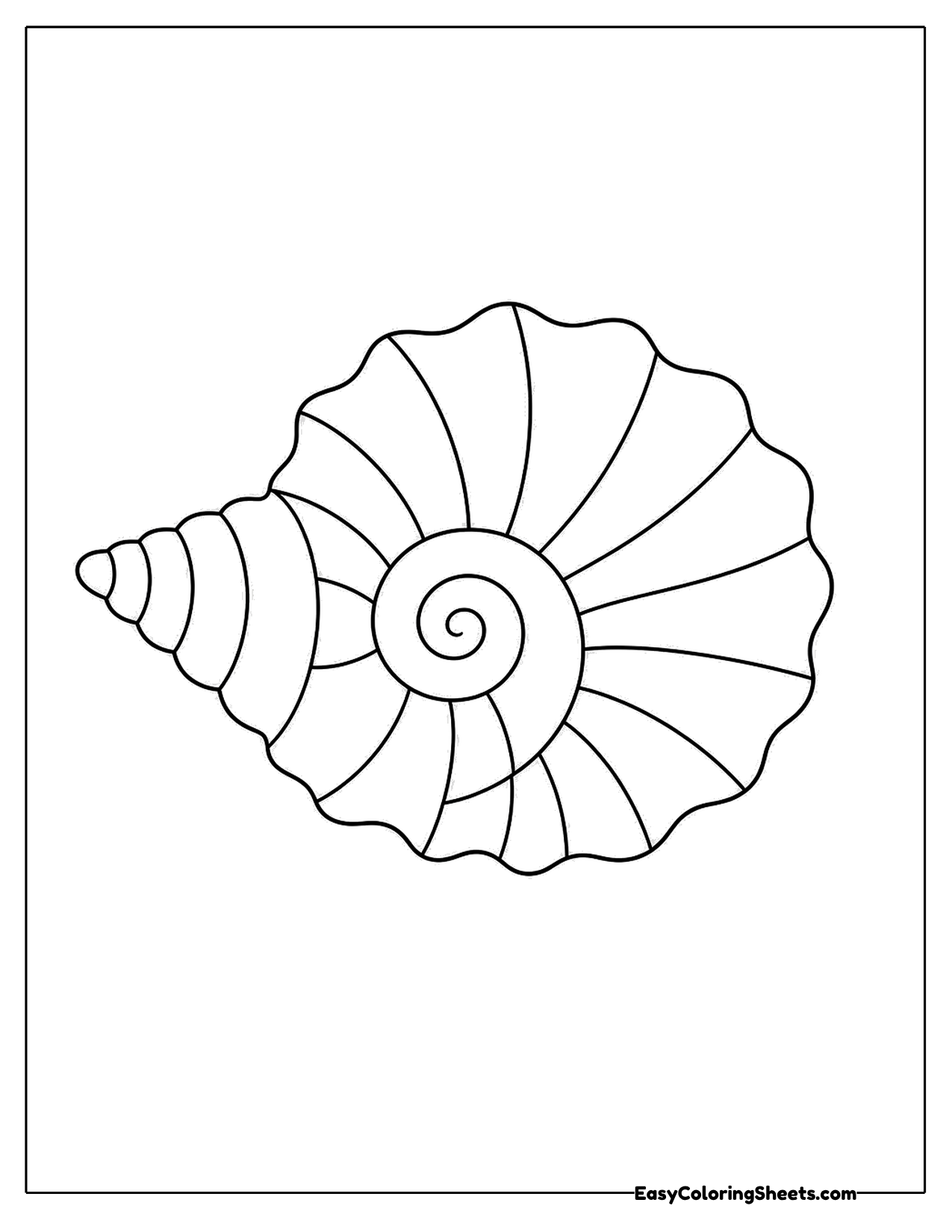 Spiral seashell with ridges