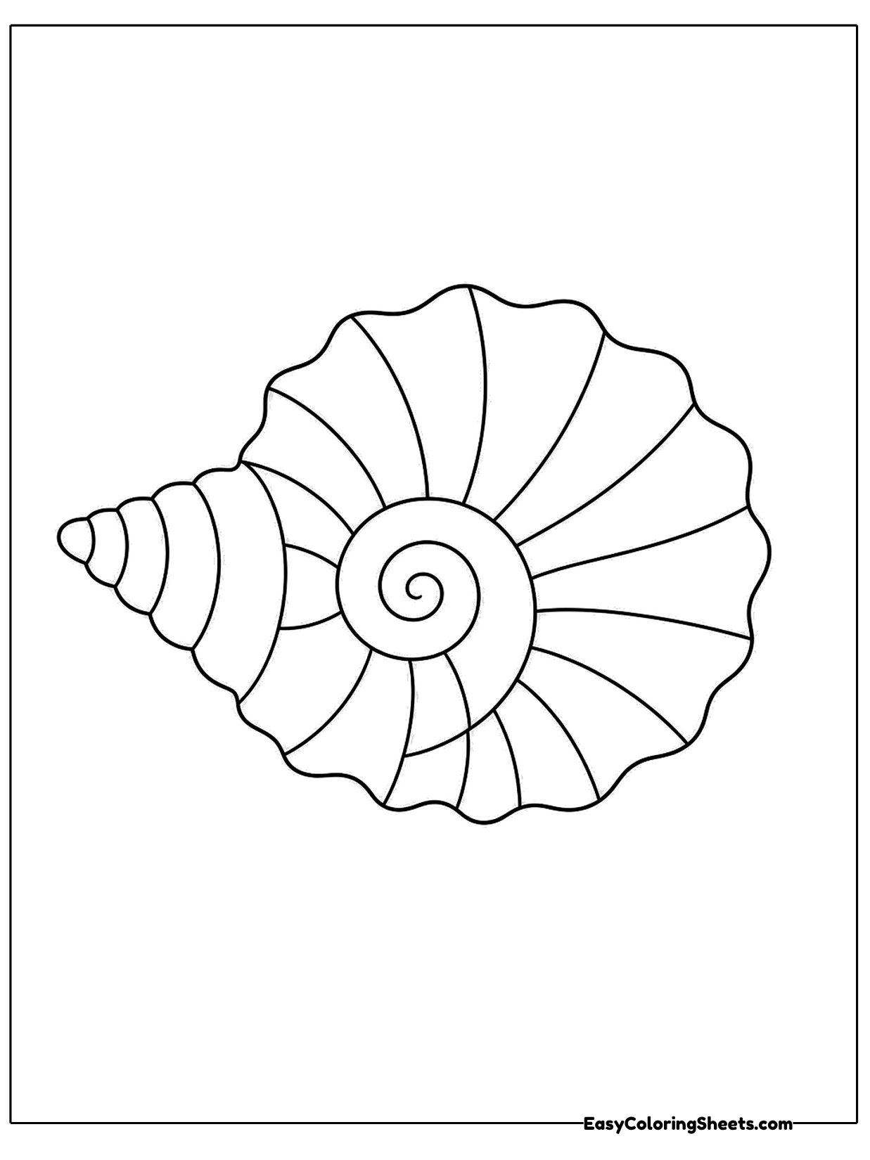 A large spiral seashell with ridged edges and a pointed tip fills the page.