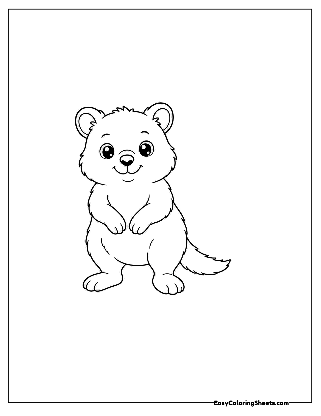 Calm quokka standing upright