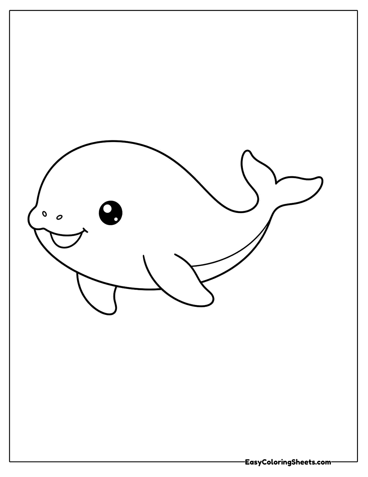 Baby whale swimming