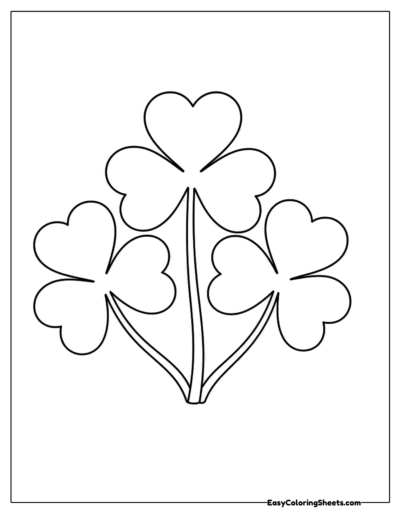 Cluster of shamrocks growing from one stem