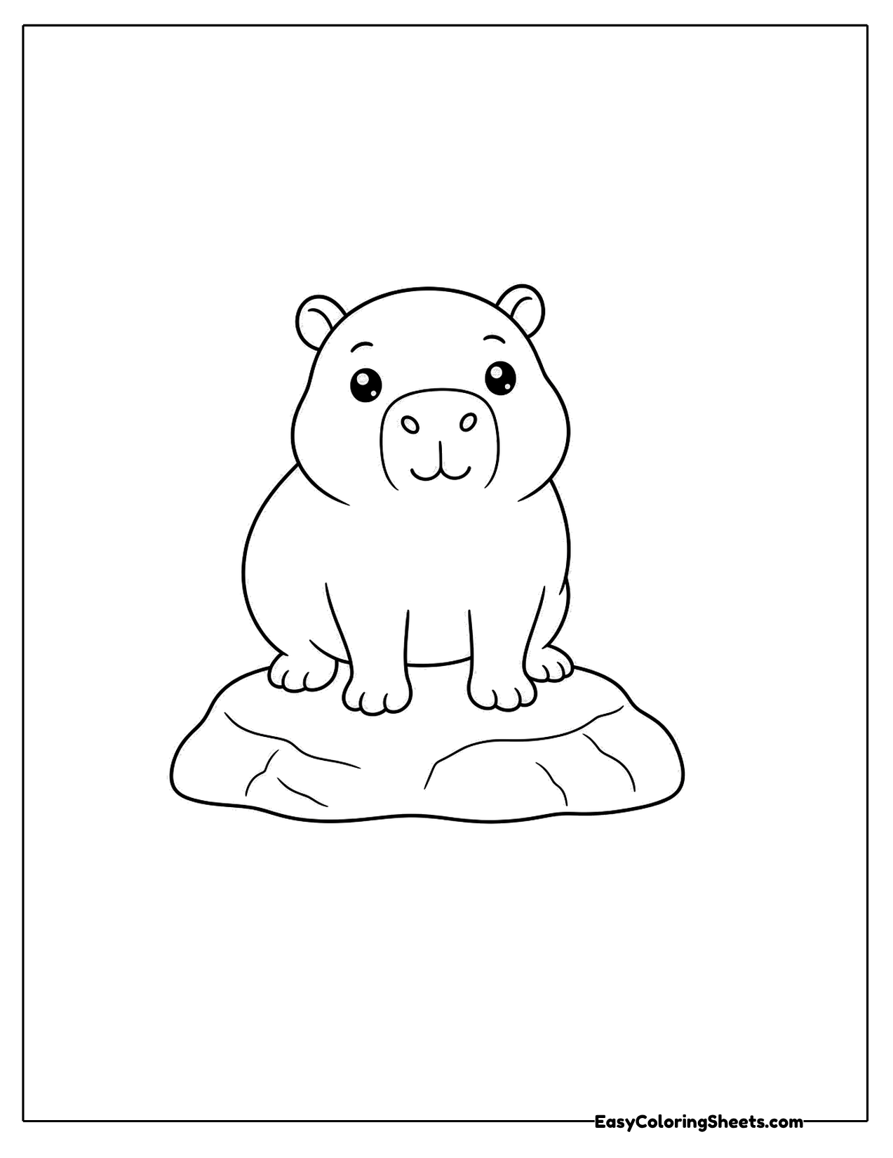 Capybara sitting on a flat rock
