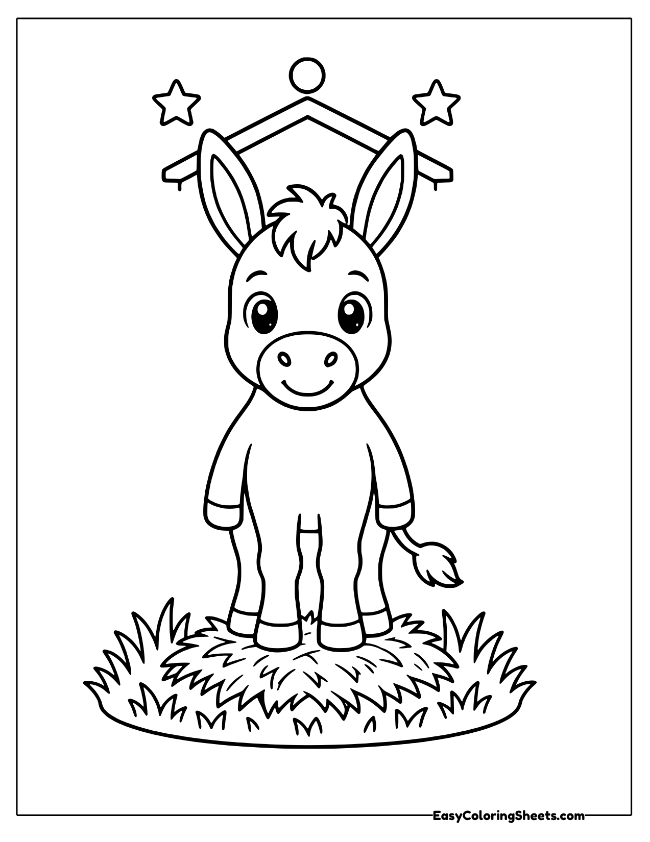 Front view of a cute donkey with long ears