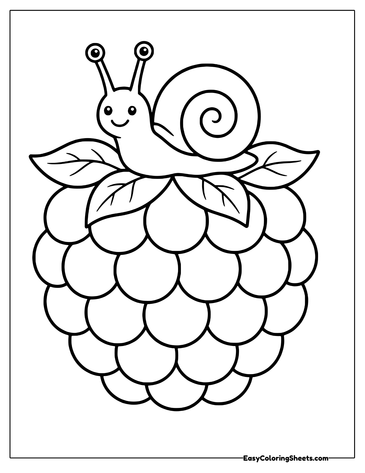 Smiling snail with a swirly shell on top of a giant raspberry