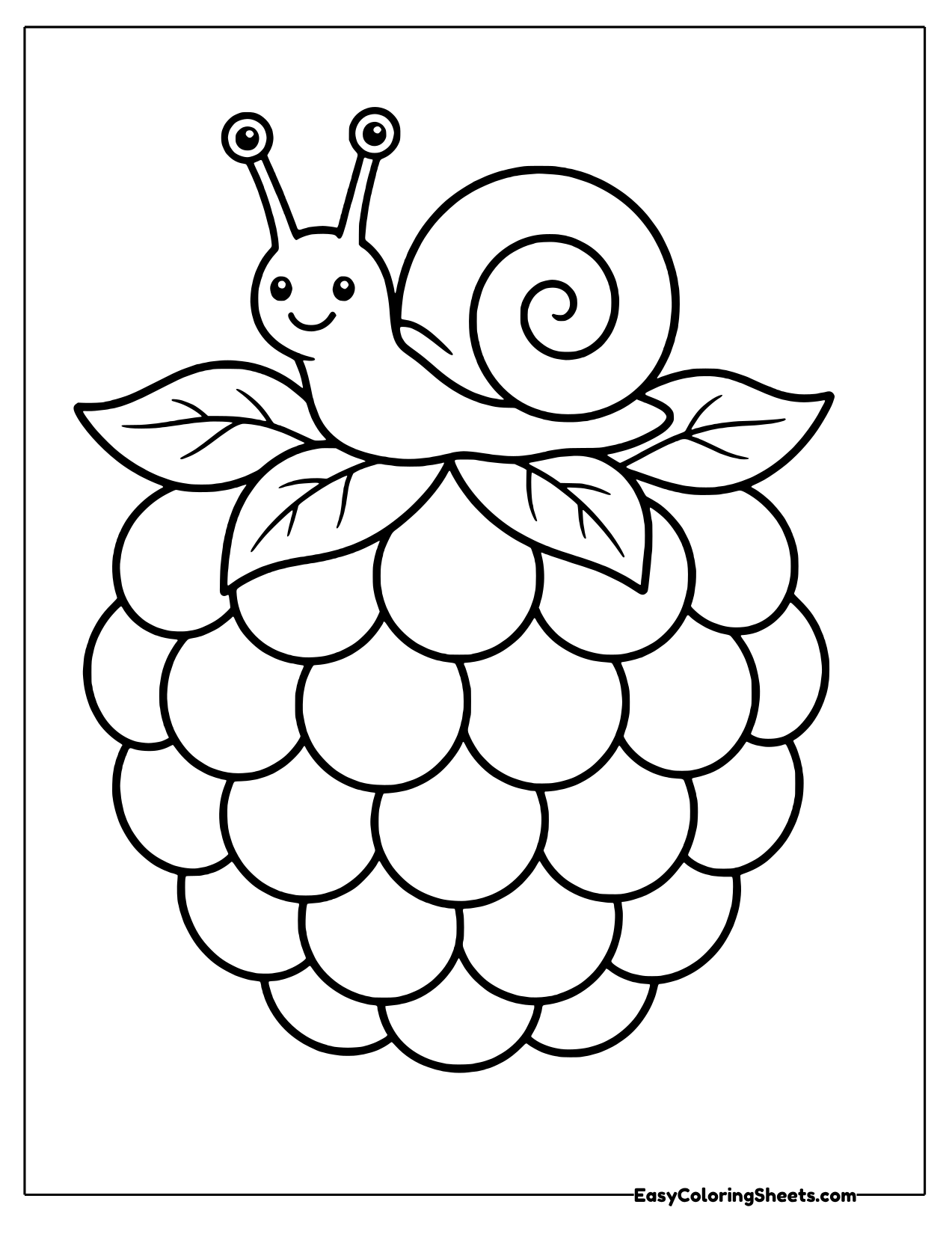 Smiling snail with a swirly shell on top of a giant raspberry