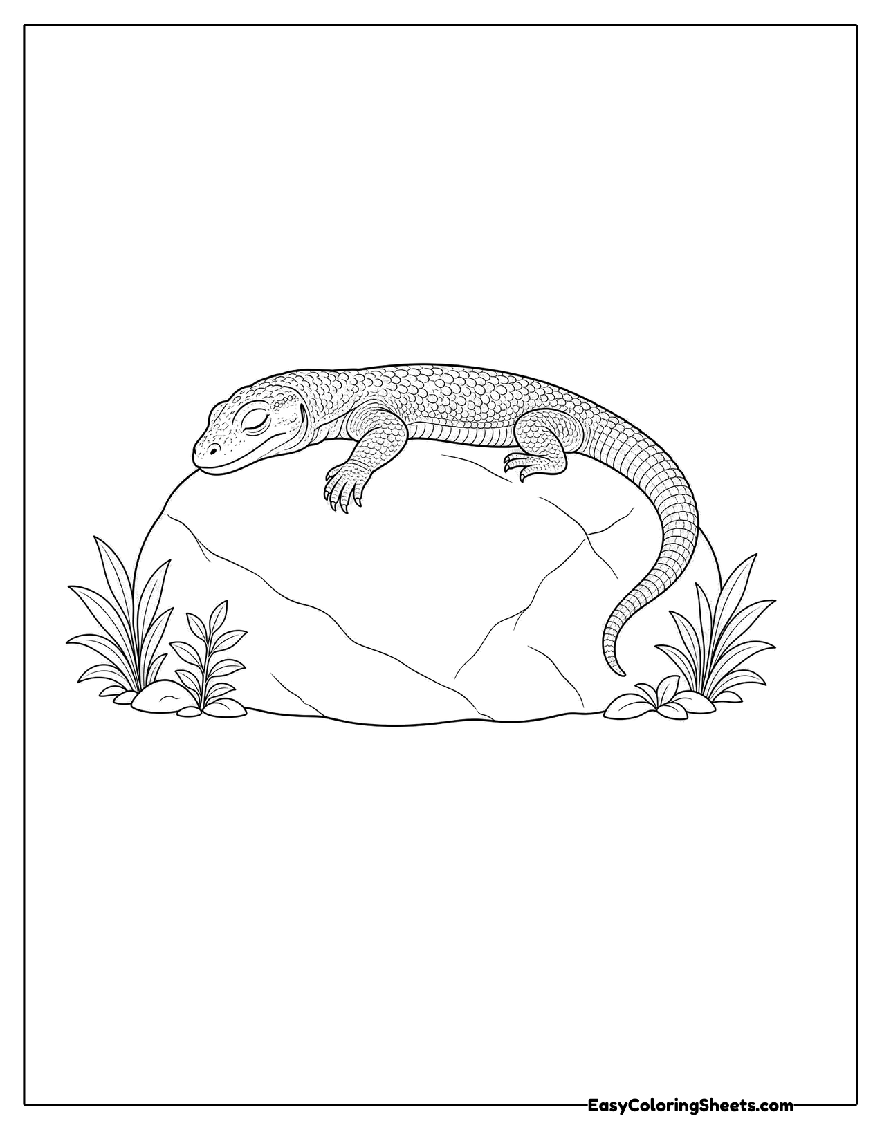 Komodo dragon napping on a big rock