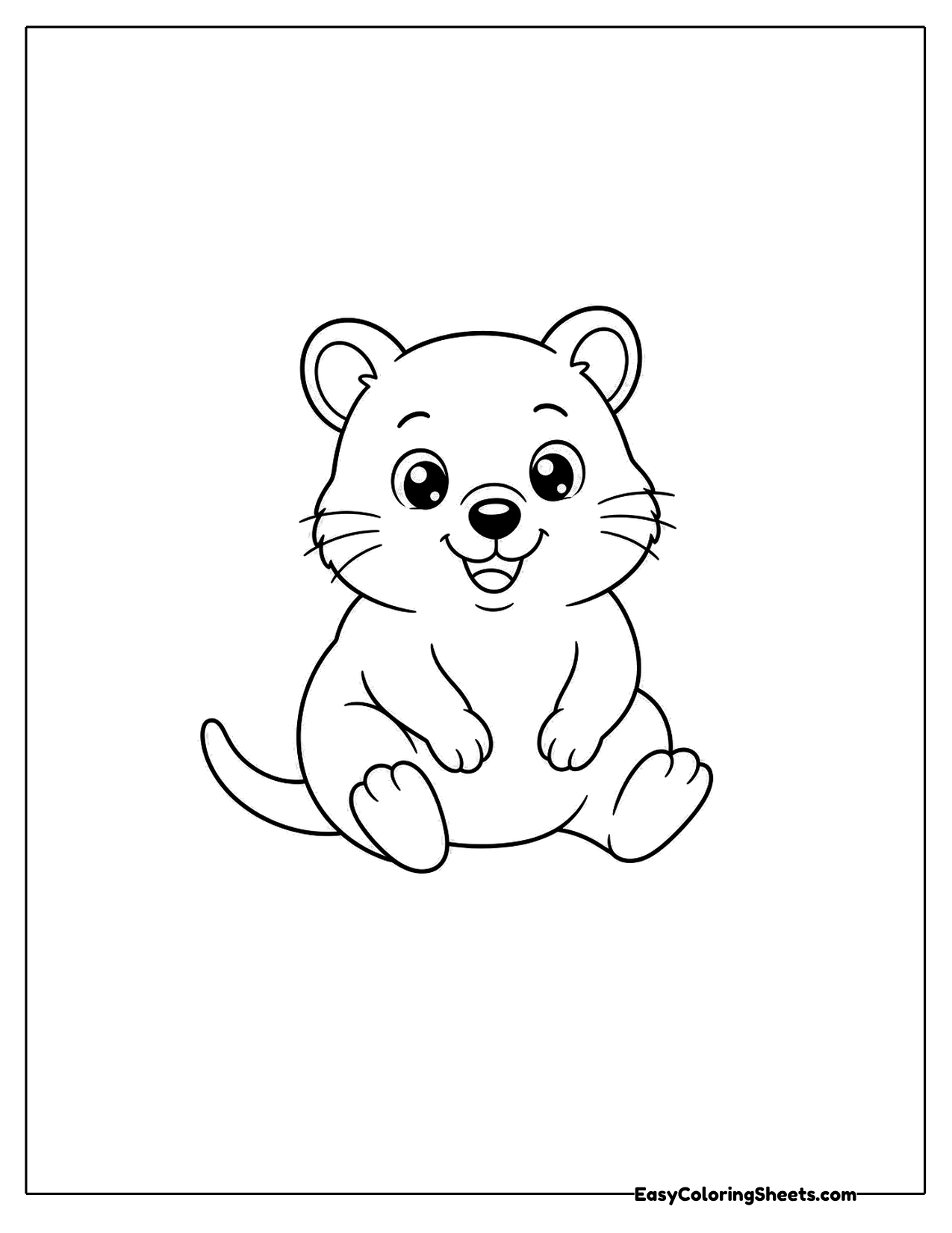 Quokka sitting with paws on its knees